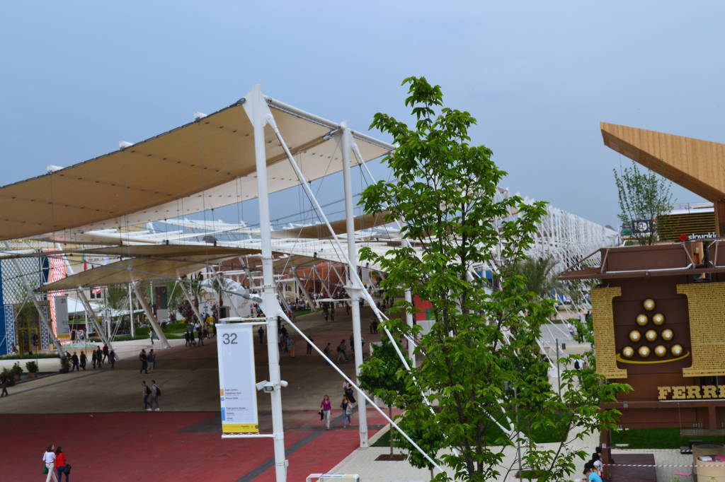La collina mediterranea