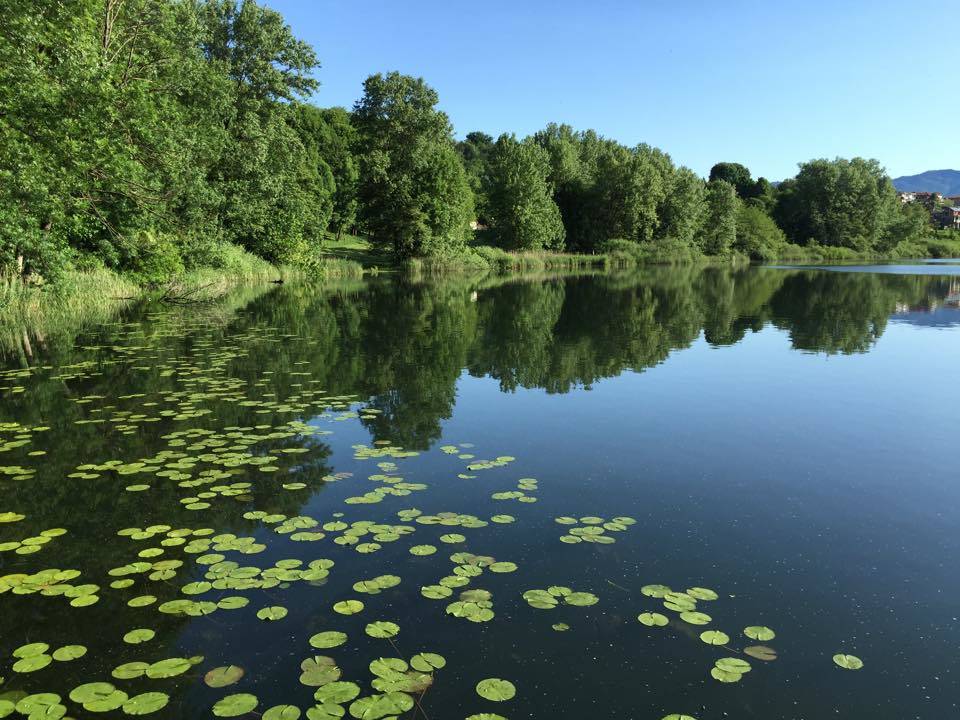 lago, 