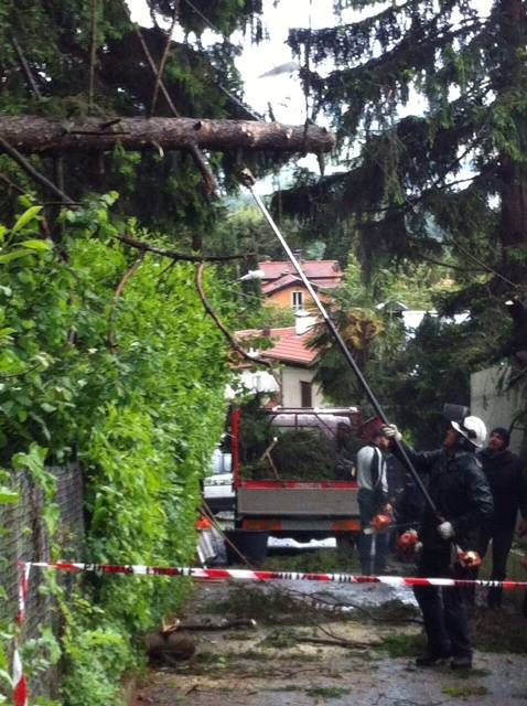 Luvinate albero caduto via Panera