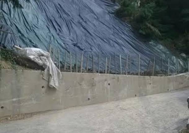 Luvinate albero caduto via Panera