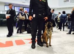 malpensa cane guardia finanza