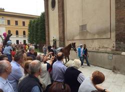 palio di legnano, sfilata, legnano,