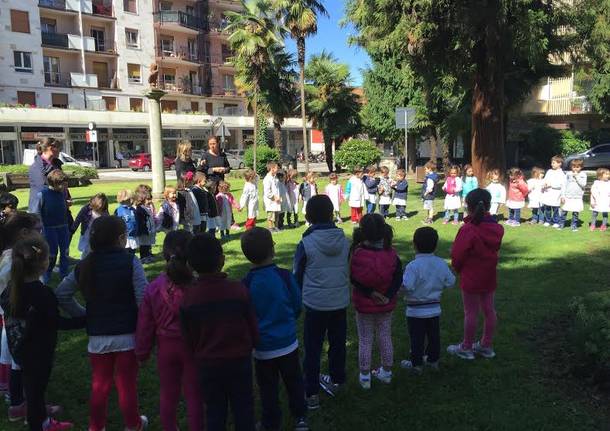 scuola infanzia ternate