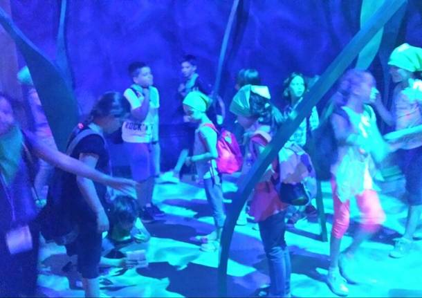 Cibo e salute, i bambini scoprono i temi di Expo