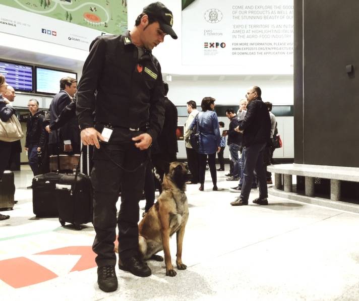 Smoking Cleopatra, il contrabbando di tabacco a Malpensa