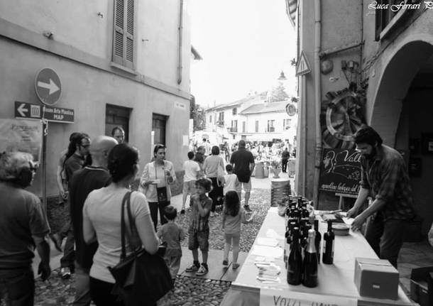 Tra Arte e Degustazione 2015