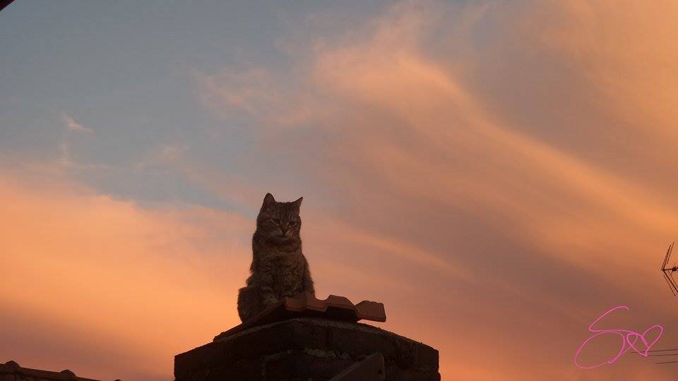 Tramonto 6 maggio 2015