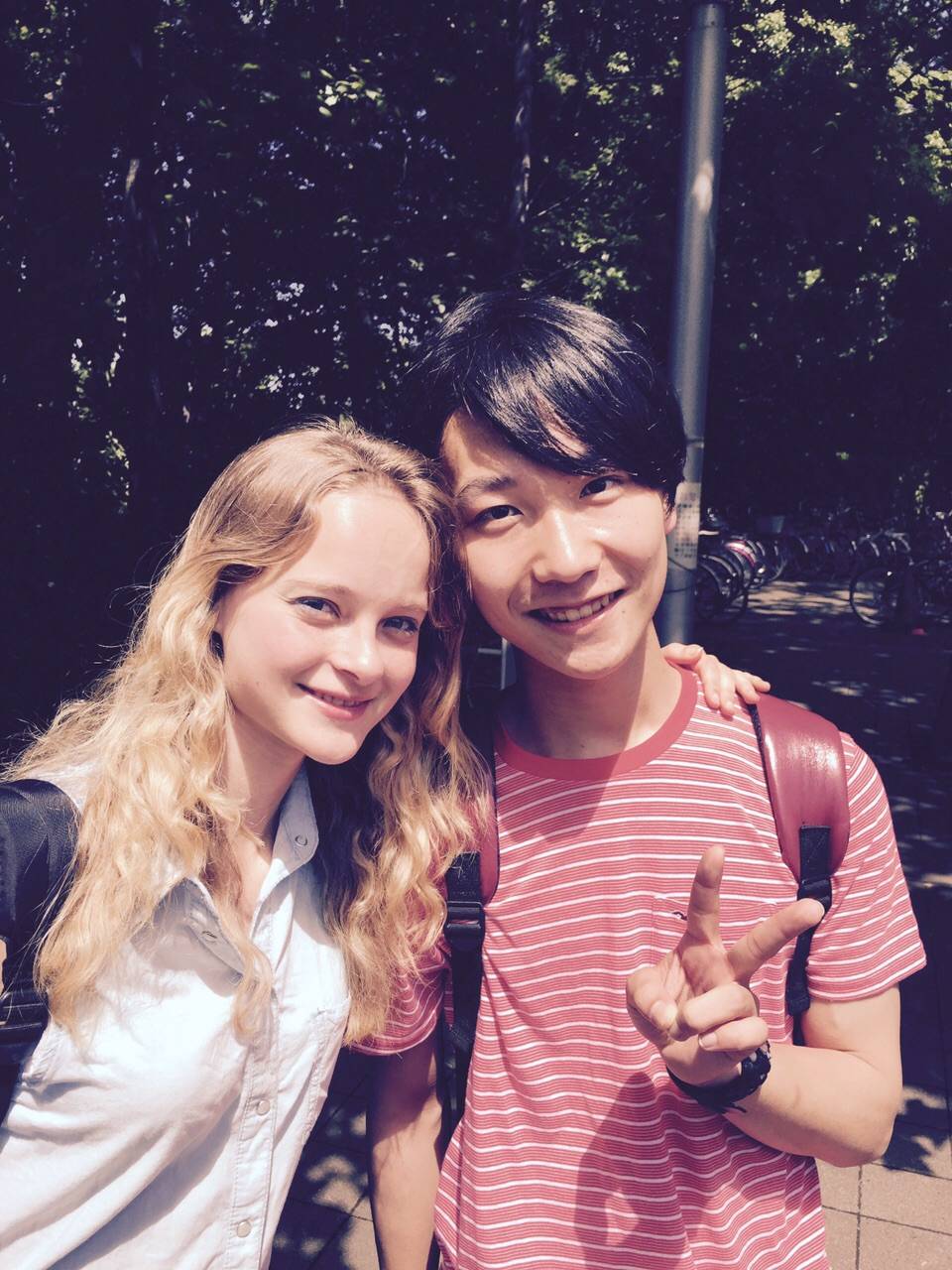 università insubria