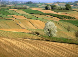 campi