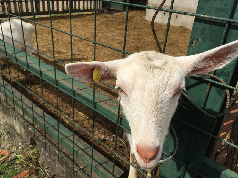 141tour Aricsate: i luoghi