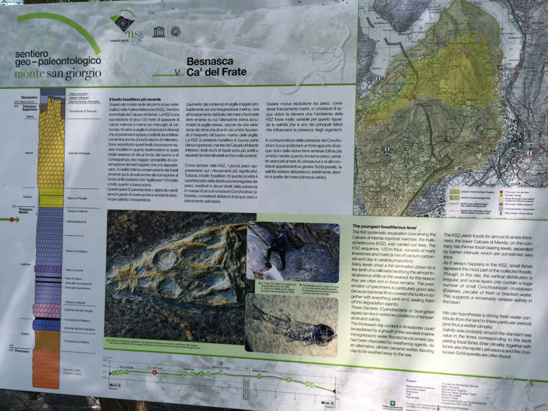 141Tour Besano: i luoghi