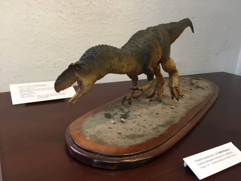 141Tour Besano: i luoghi