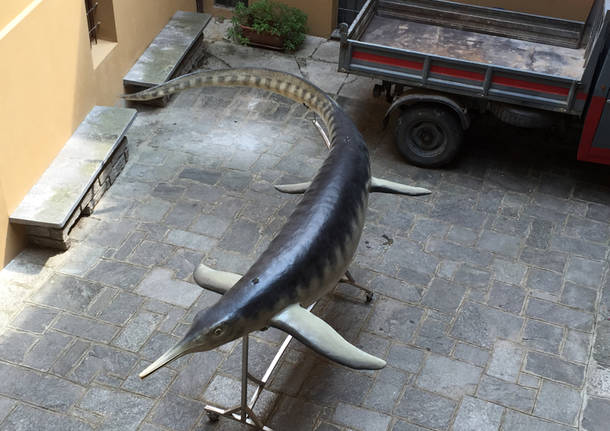 41Tour Besano: i luoghi