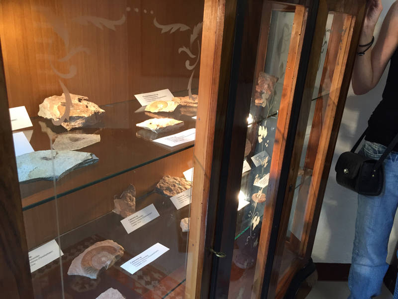 141Tour Besano: i luoghi