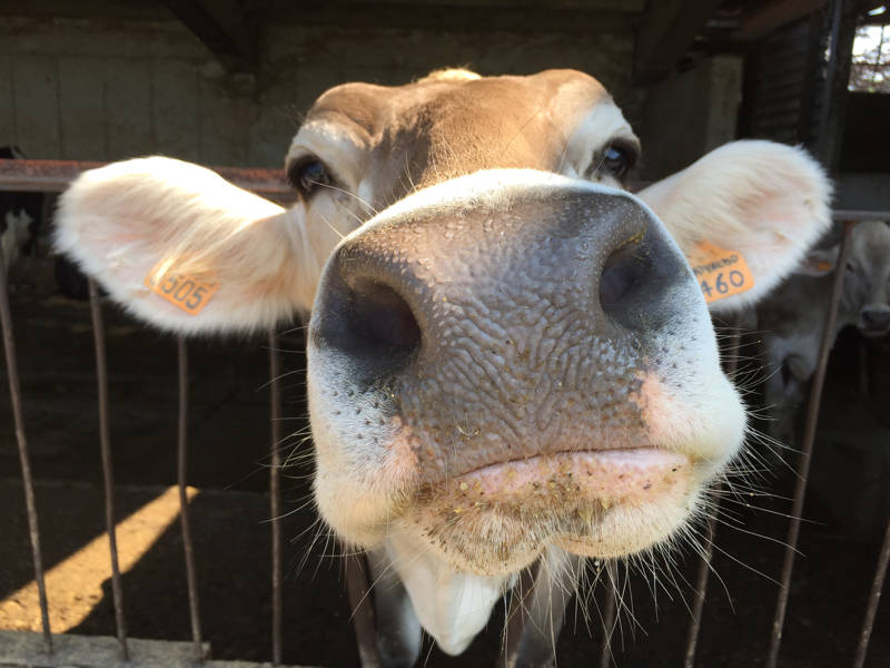 141Tour Besano: le persone