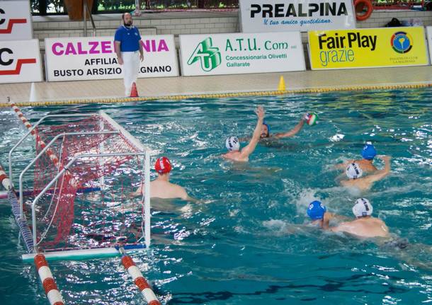 busto arsizio, pallanuoto, draghi,