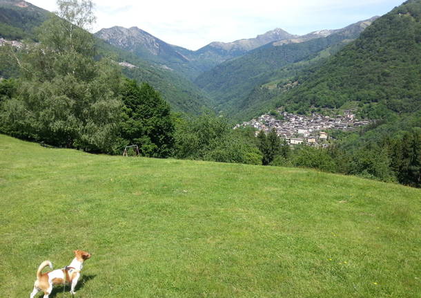 panorama su Curiglia con Monteviasco