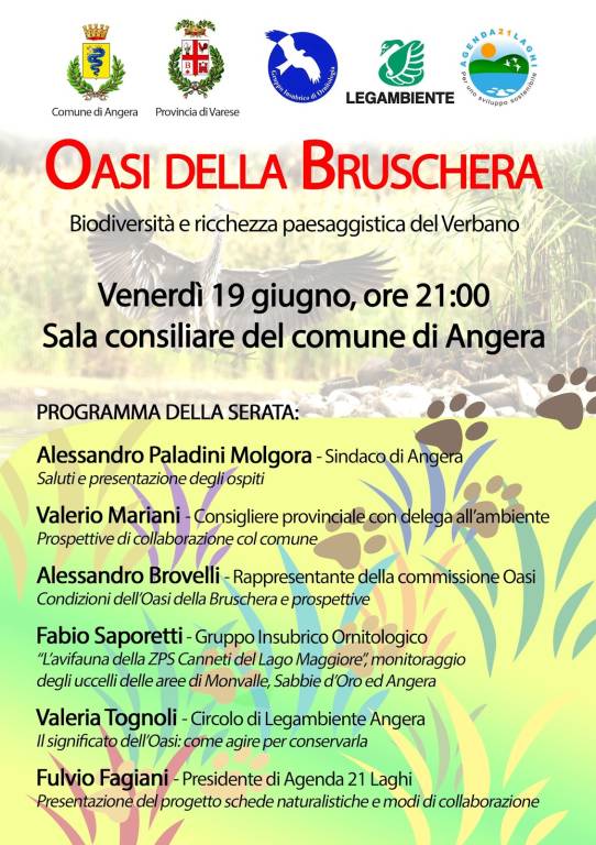 OASI DELLA BRUSCHERA: biodiversità e ricchezza paesaggistica del Verbano