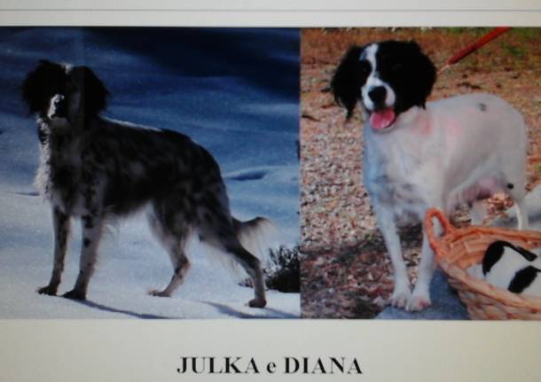 Julka e Diana