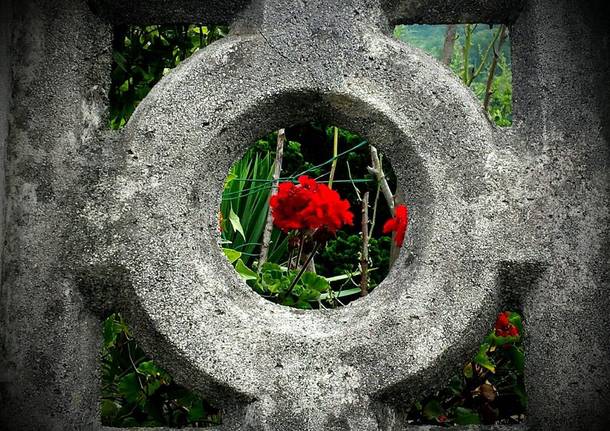 Foto del giorno mese di giugno