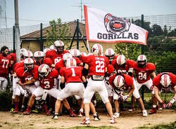 gorillaz varese, football americano,