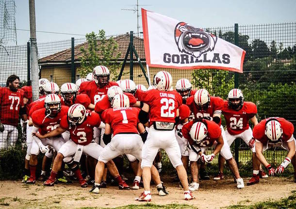 gorillaz varese, football americano,