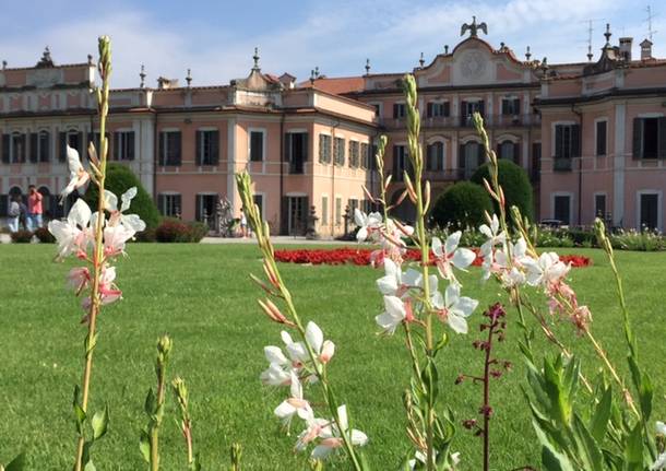 La meraviglia dei Giardini Estensi fioriti