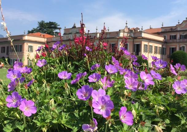 I Giardini Estensi fioriti