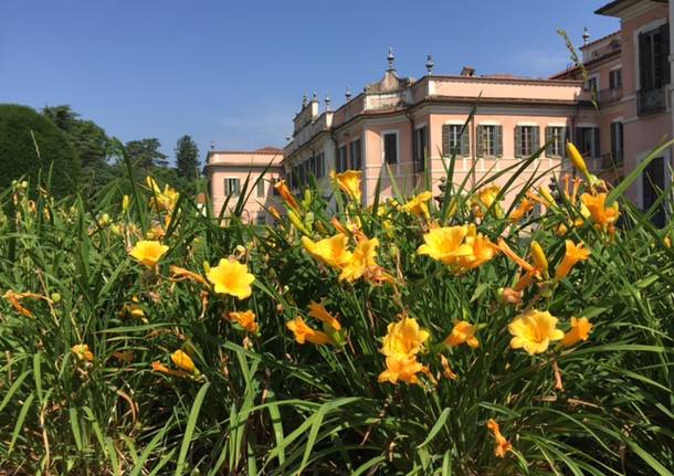 I Giardini Estensi fioriti