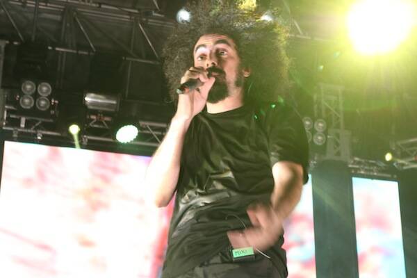 IMG 4599