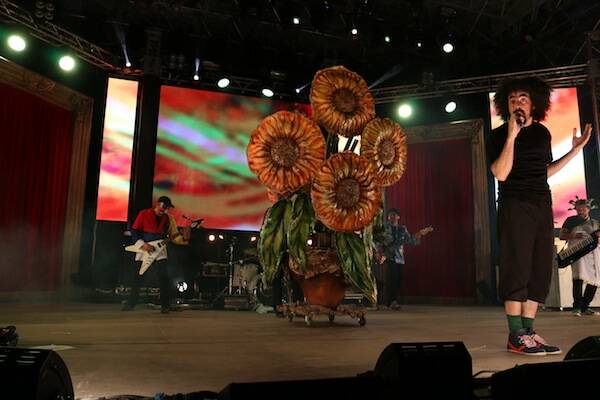 IMG 4619