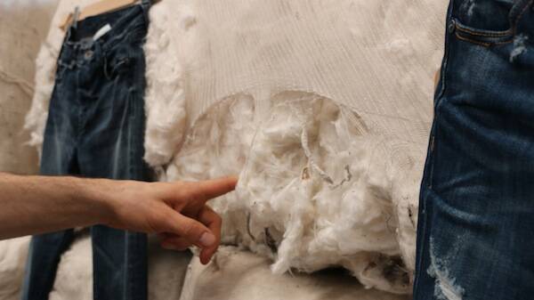 IMG 4774