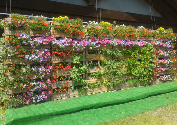Ecco lorto verticale realizzato con materiale di riciclo Come costruire un giardino verticale