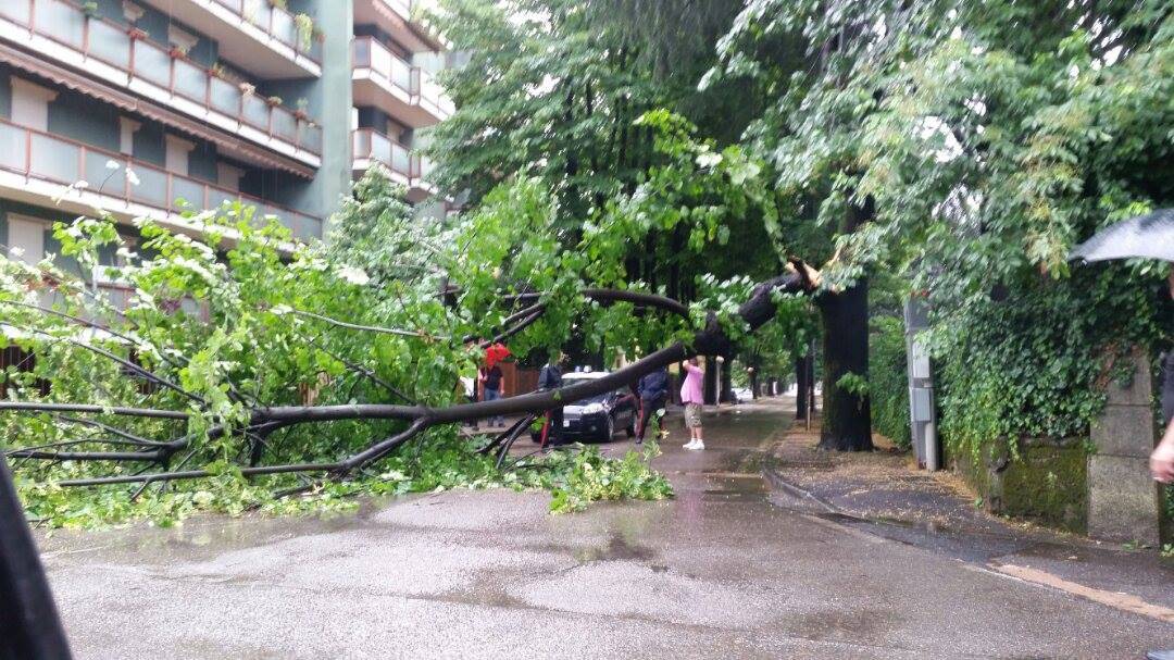 Maltempo, altre foto dei lettori