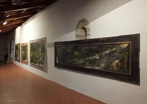 La mostra di Antonio Pedretti