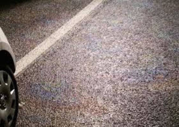 Olio sulla strada