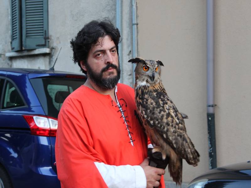 Palio di Masnago 2015 