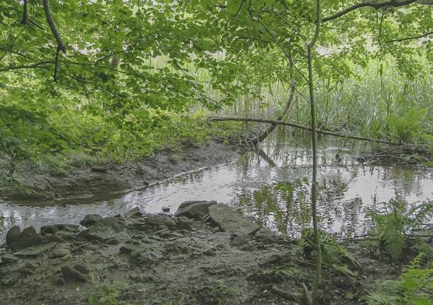 parco della valle del boia