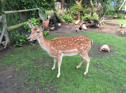 porto ceresio 141 tour