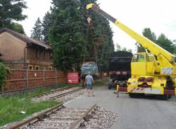 Trasferimento museo Ogliari a Volandia 