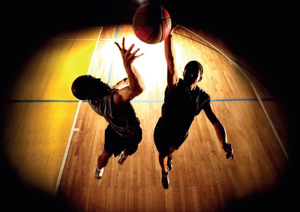 basket
