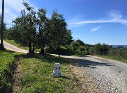 Via Francigena