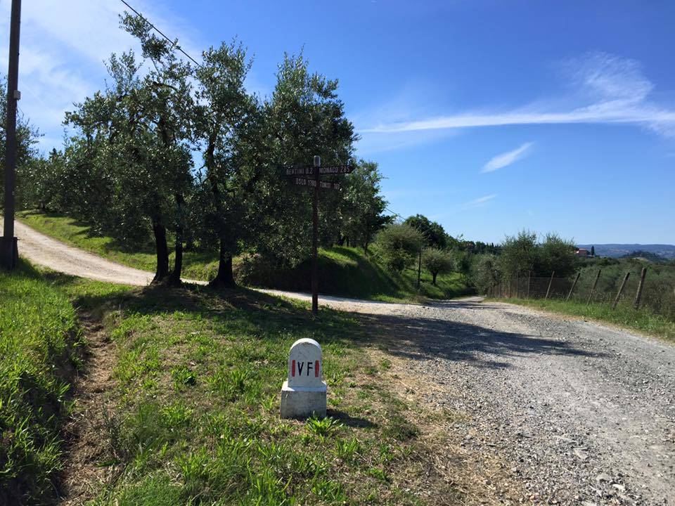 Via Francigena