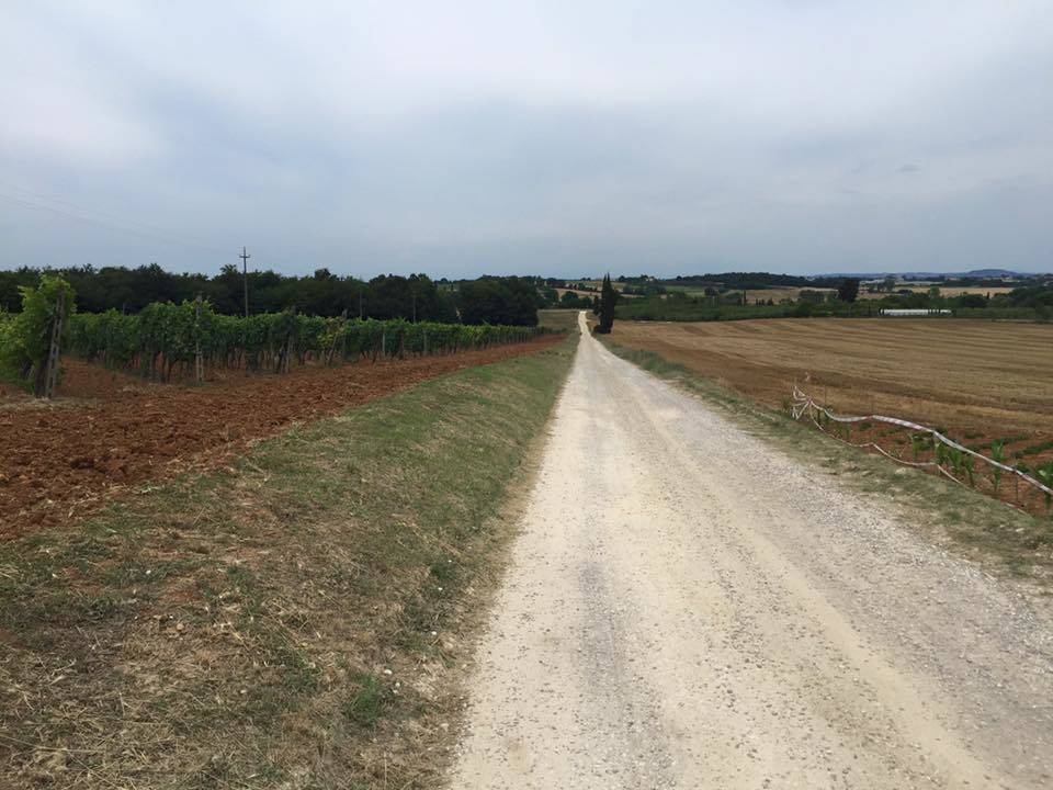 via francigena