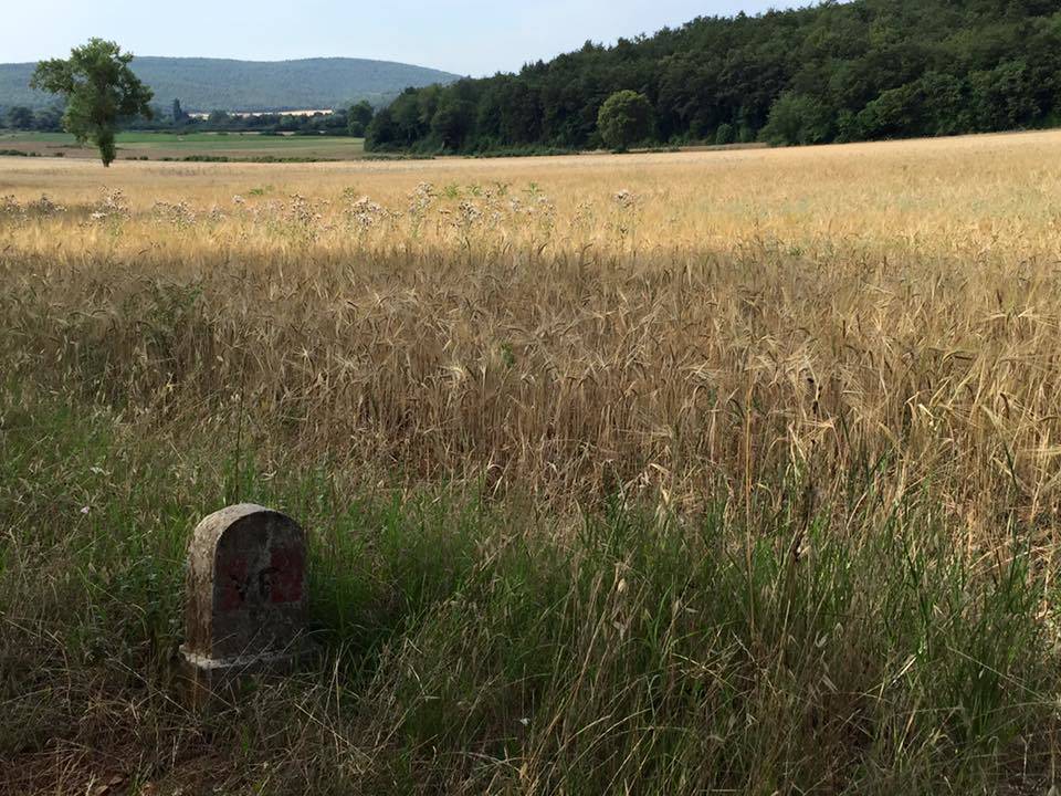 via francigena