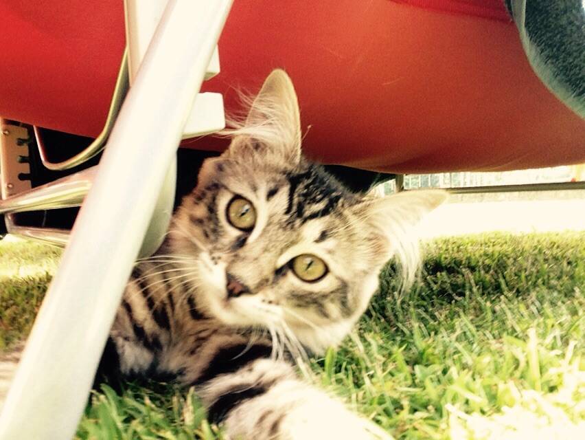 Aiutateci a ritrovare FIVE