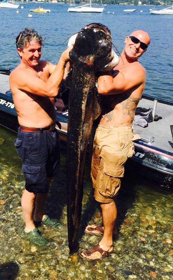 pesca a traina sul Lago Maggiore