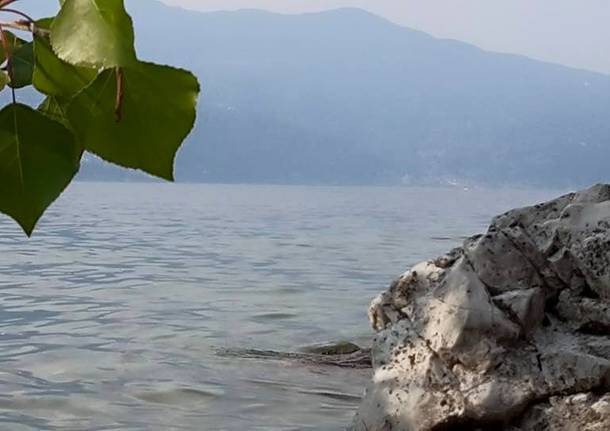 Caldè Lago Maggiore ( LAKE MAGGIORE)
