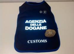 cocaina malpensa uruguay