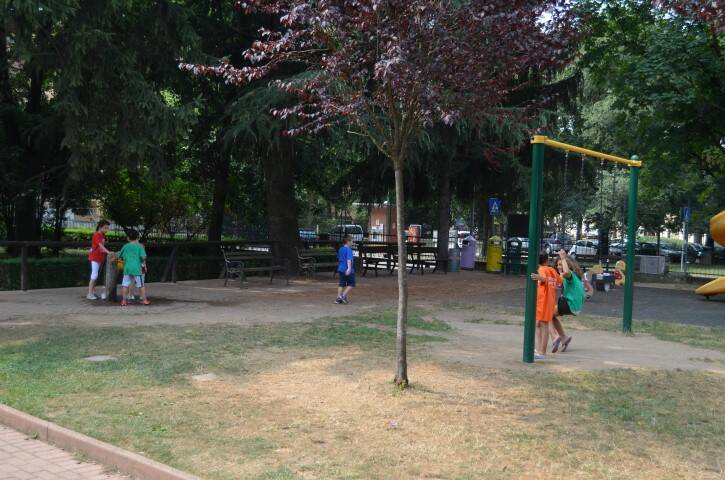 DSC 0100